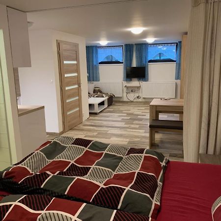 Železná RudaApartman 206 Spicakアパートメント エクステリア 写真